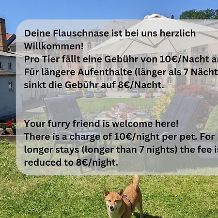 Zi2 - Urlaubsmagie - Whirlpool, Sauna Und Garten Daire Sebnitz Dış mekan fotoğraf