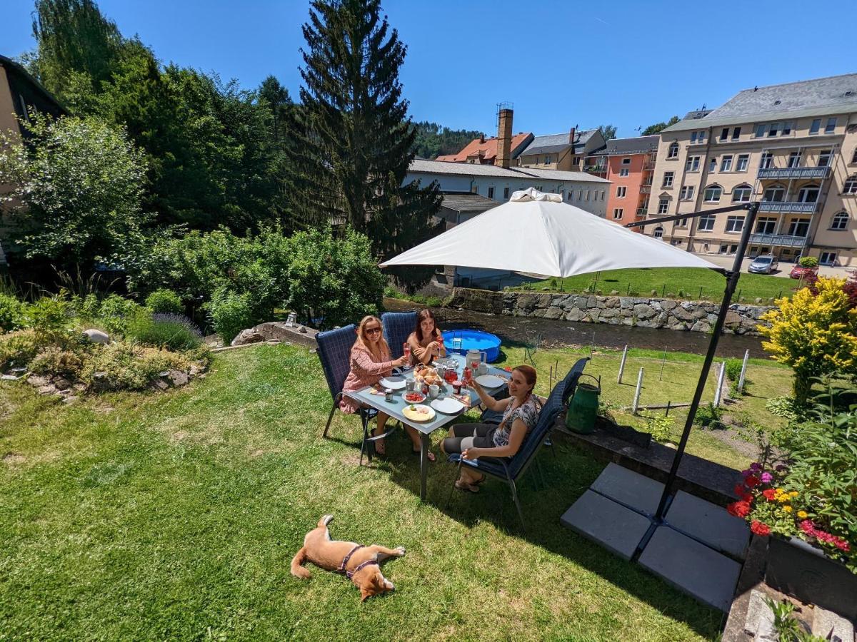 Zi2 - Urlaubsmagie - Whirlpool, Sauna Und Garten Daire Sebnitz Dış mekan fotoğraf
