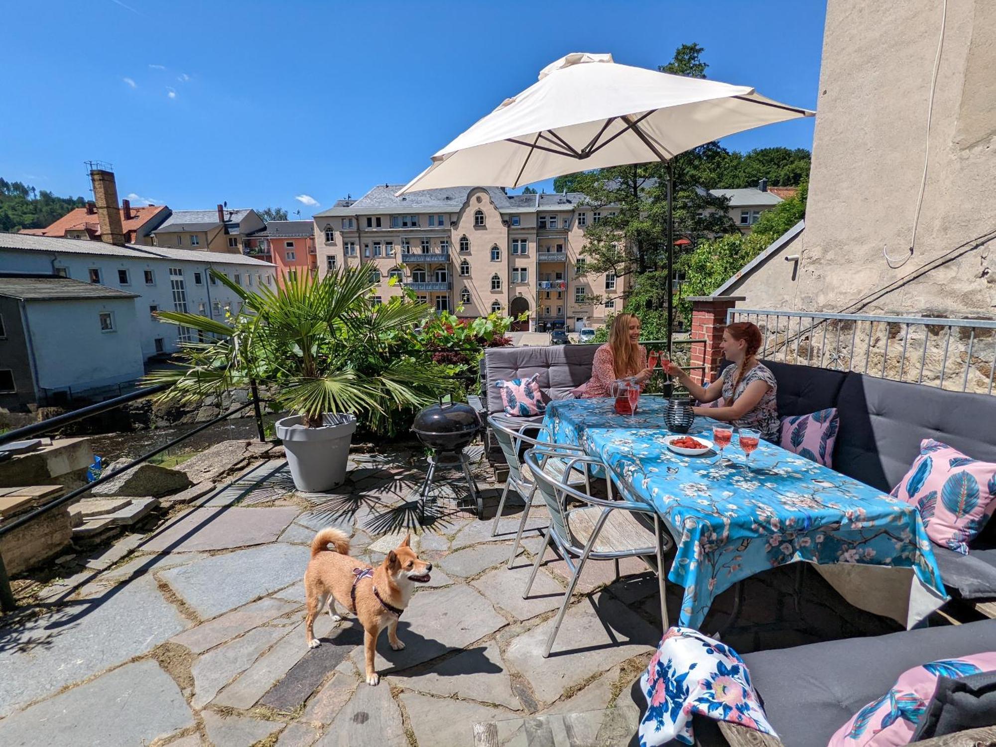 Zi2 - Urlaubsmagie - Whirlpool, Sauna Und Garten Daire Sebnitz Dış mekan fotoğraf