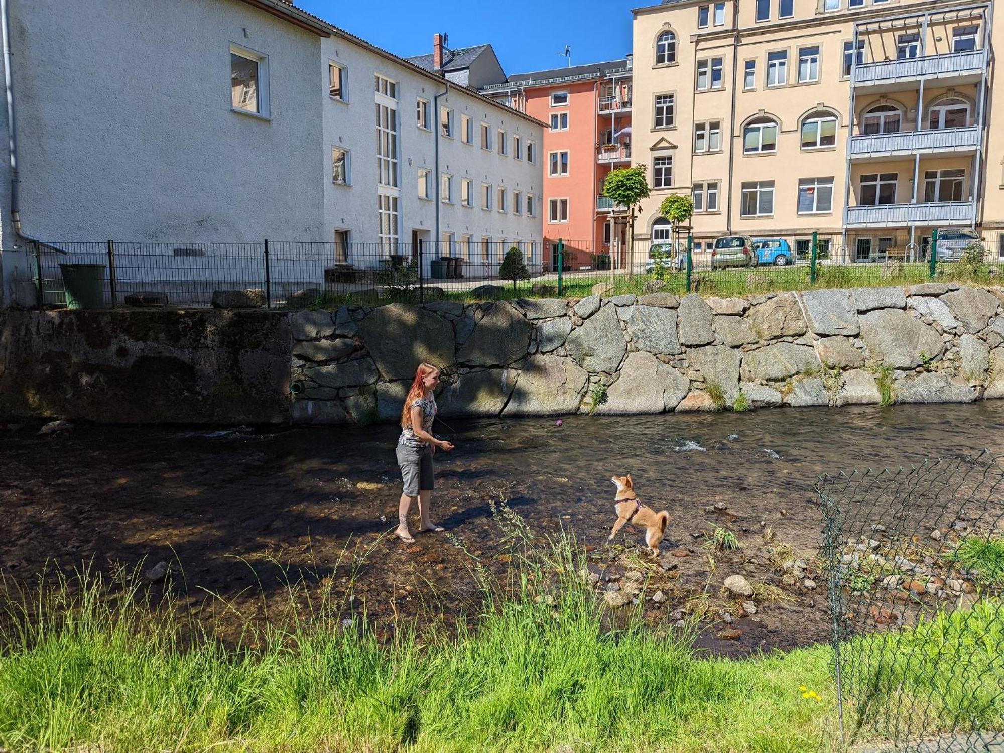 Zi2 - Urlaubsmagie - Whirlpool, Sauna Und Garten Daire Sebnitz Dış mekan fotoğraf
