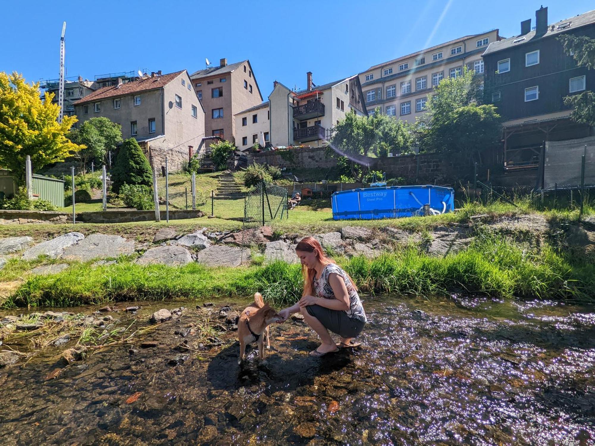Zi2 - Urlaubsmagie - Whirlpool, Sauna Und Garten Daire Sebnitz Dış mekan fotoğraf